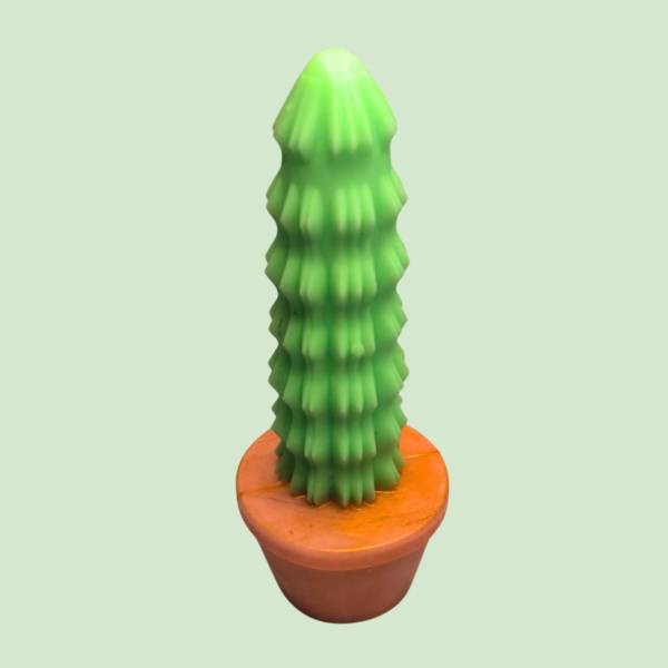 CACTUS EN POT GODE
