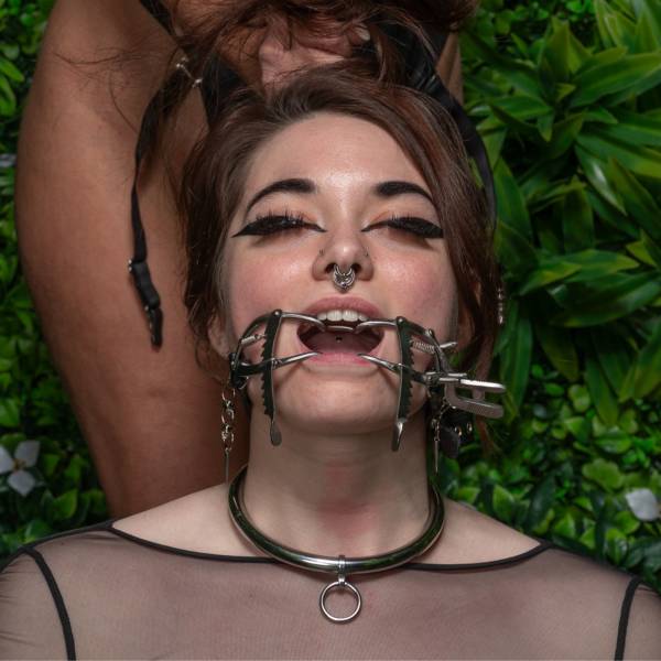 Écarteur buccal ratchet à lanières