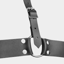 HARNAIS CUIR POITRINE T.U