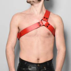 Harnesses